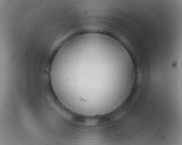 X0000113960450200910162007