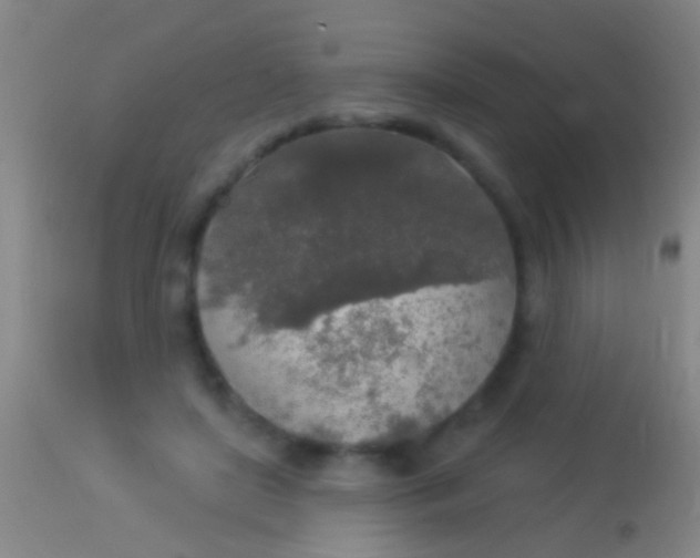 X0000113960451200910162007