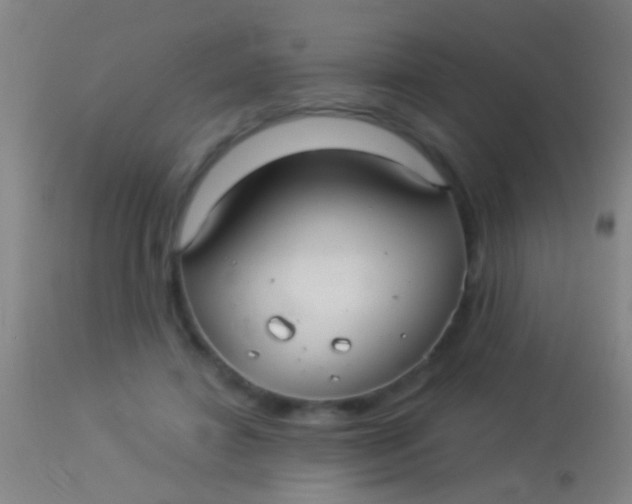 X0000113960452200910162007