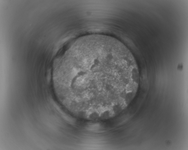 X0000113960454200910162007