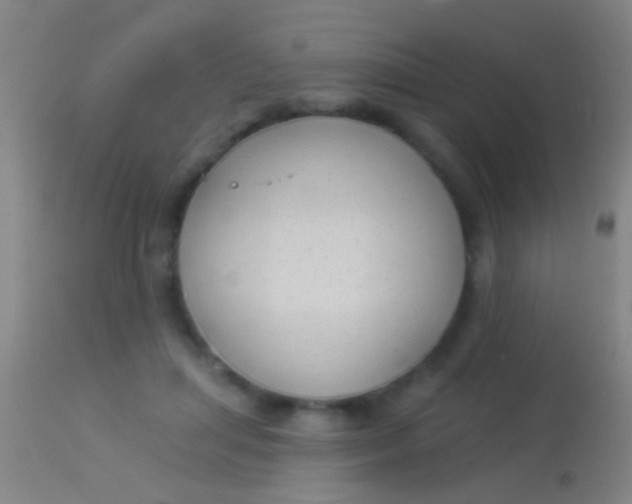 X0000113960455200910162007