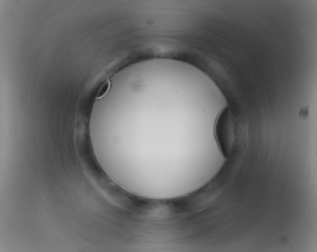 X0000113960456200910162007