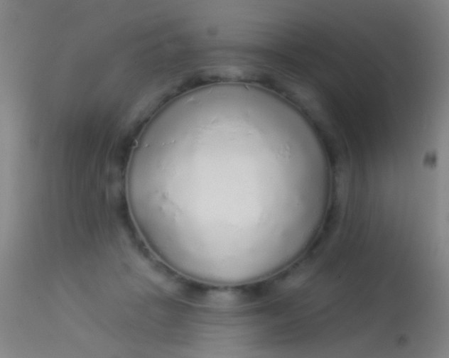 X0000113960457200910162007