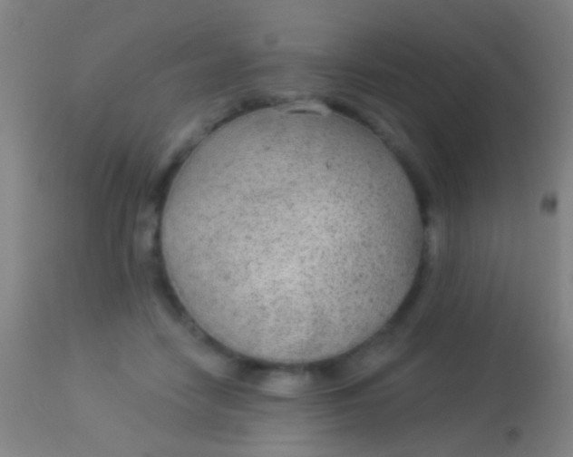 X0000113960458200910162007