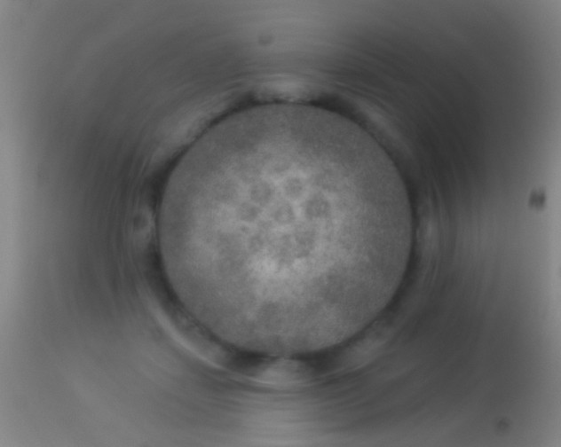 X0000113960459200910162007