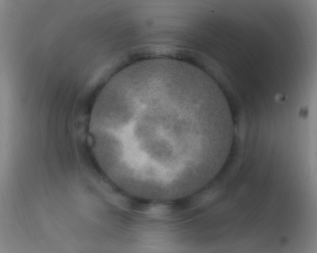 X0000113960462200910162007