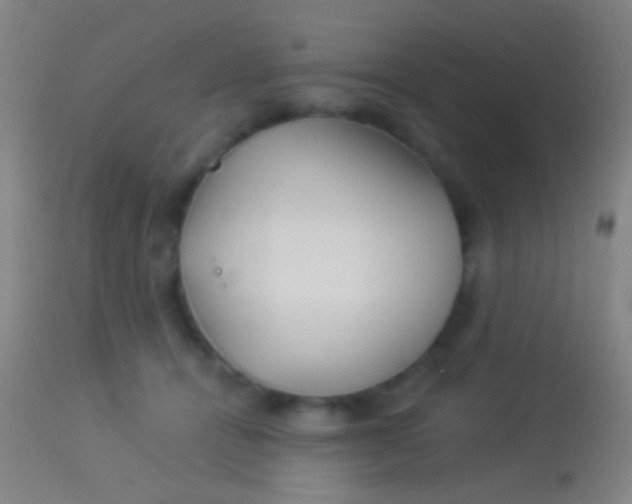 X0000113960464200910162008