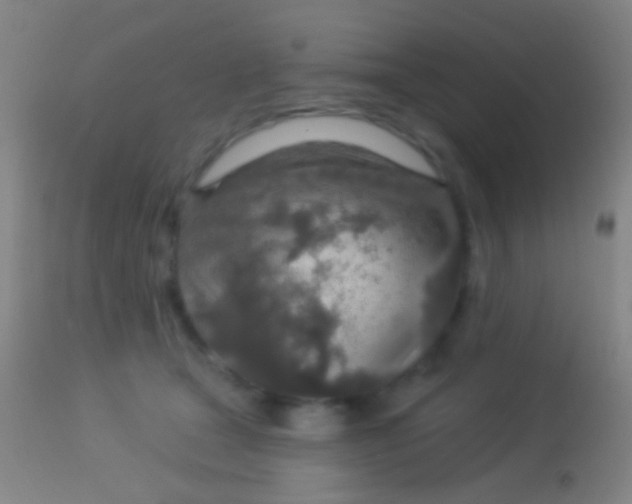 X0000113960465200910162008