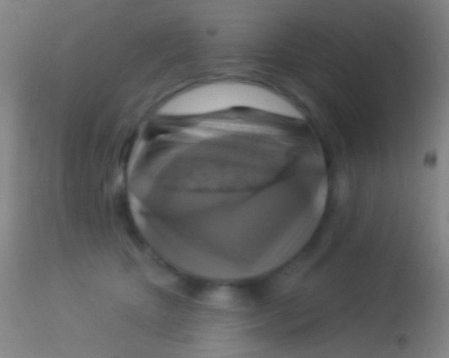 X0000113960467200910162008