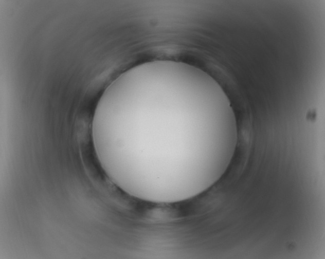 X0000113960468200910162008