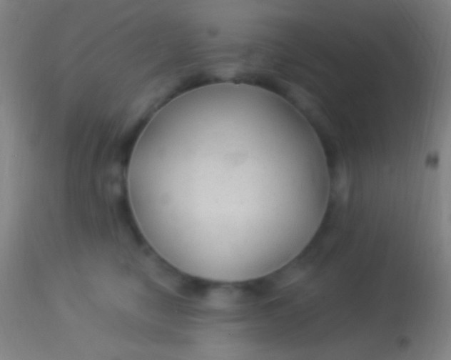 X0000113960470200910162008