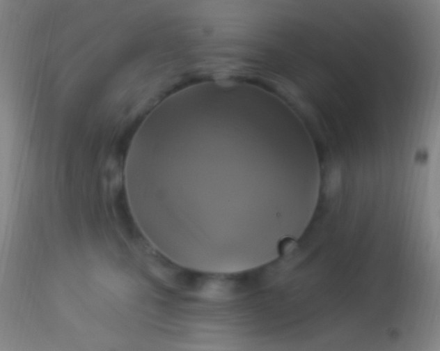 X0000113960471200910162008