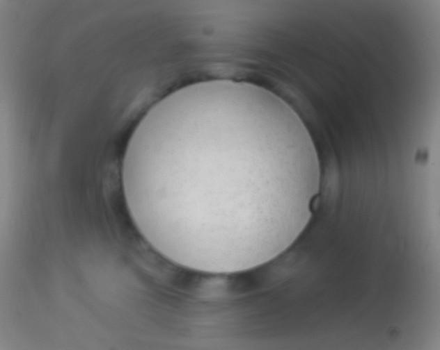 X0000113960473200910162008