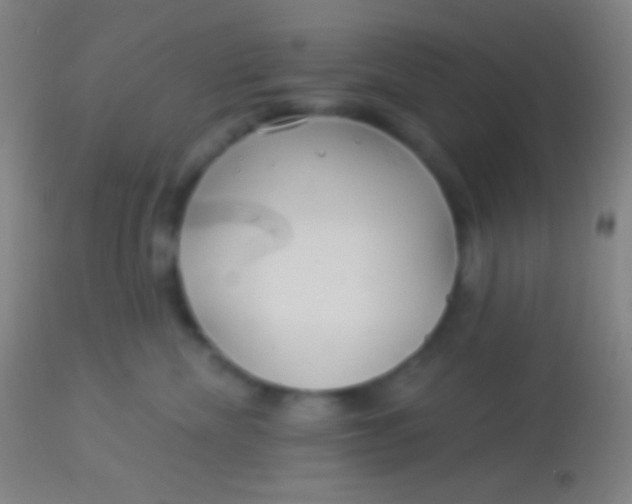 X0000113960476200910162008