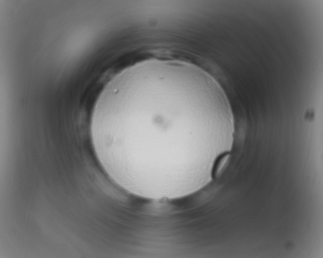 X0000113960477200910162008