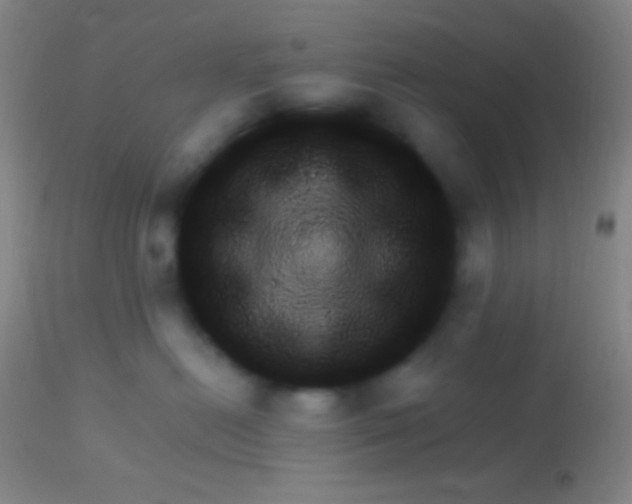 X0000113960478200910162008