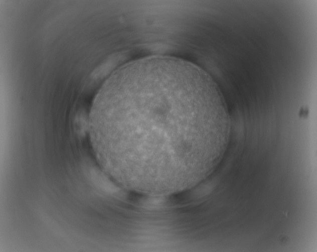 X0000113960479200910162008