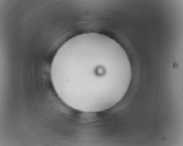 X0000113960480200910162008