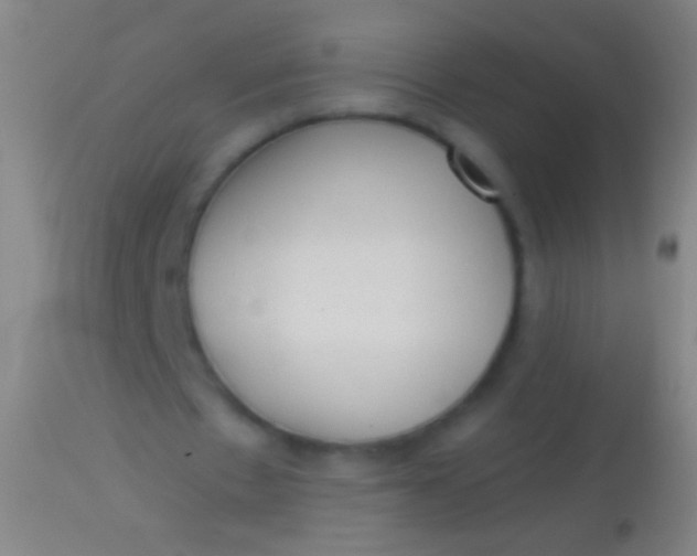 X0000113960481200910162007