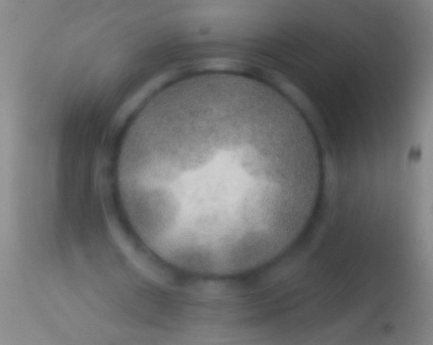 X0000113960482200910162007