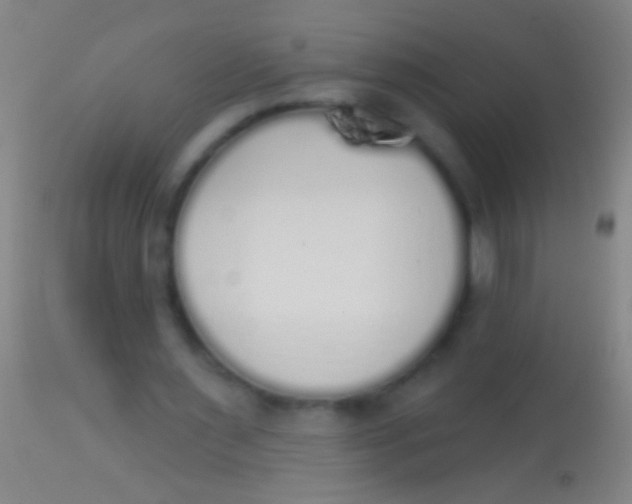 X0000113960483200910162007