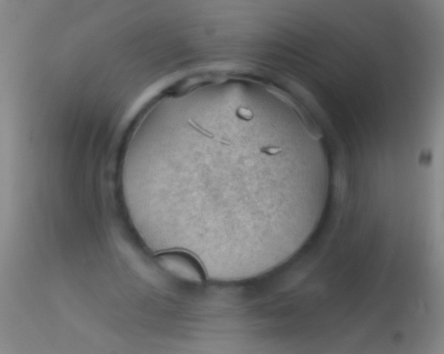 X0000113960484200910162007