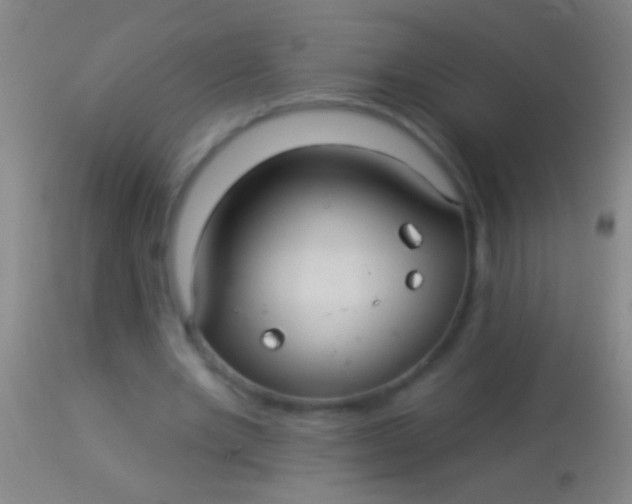 X0000113960485200910162007