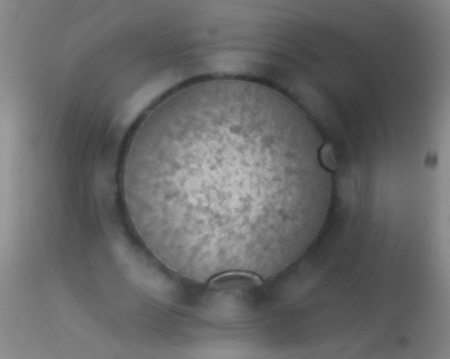 X0000113960488200910162007