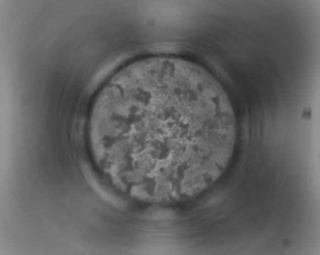 X0000113960491200910162007