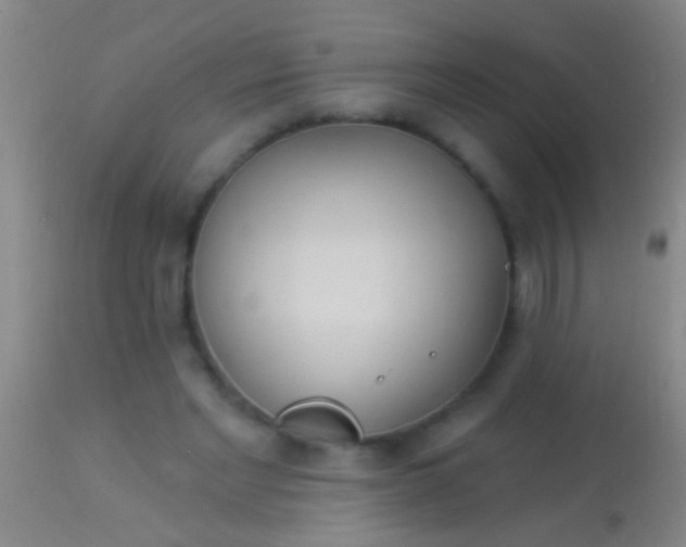 X0000113960493200910162007