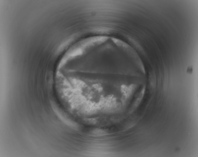 X0000113960494200910162007