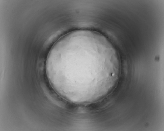 X0000113960495200910162007