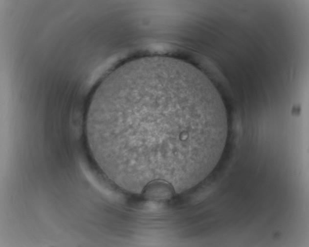 X0000113960496200910162007