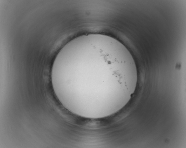 X0000113960497200910162007