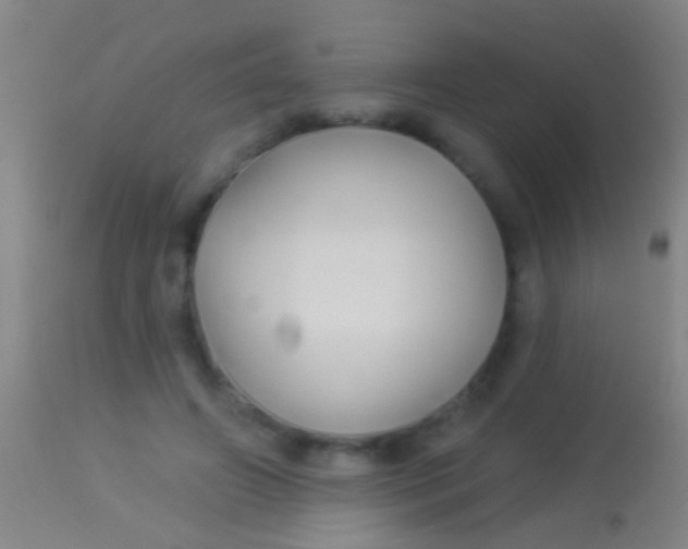 X0000113960498200910162007