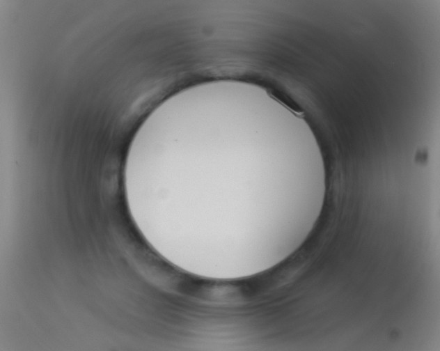 X0000113960501200910162007