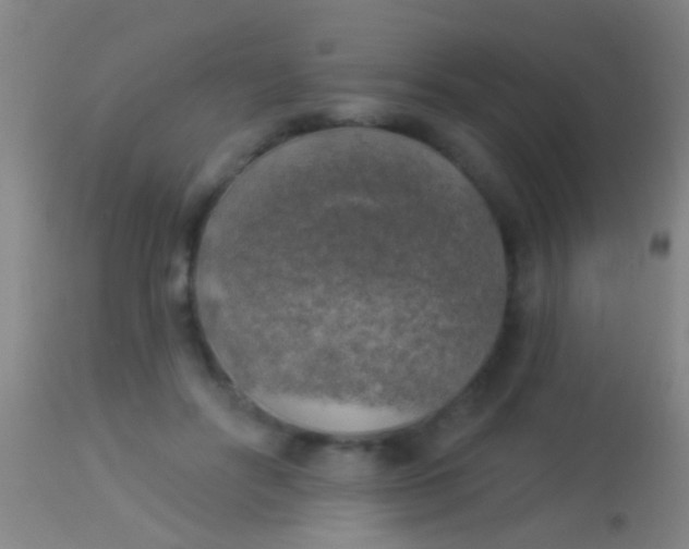 X0000113960502200910162007