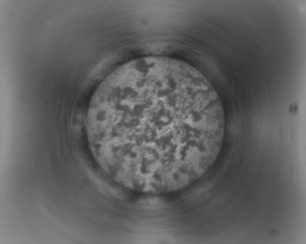 X0000113960503200910162007