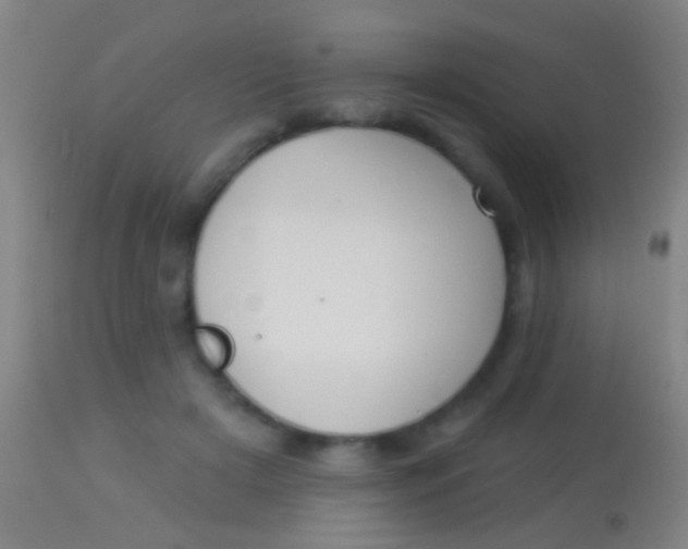 X0000113960505200910162007