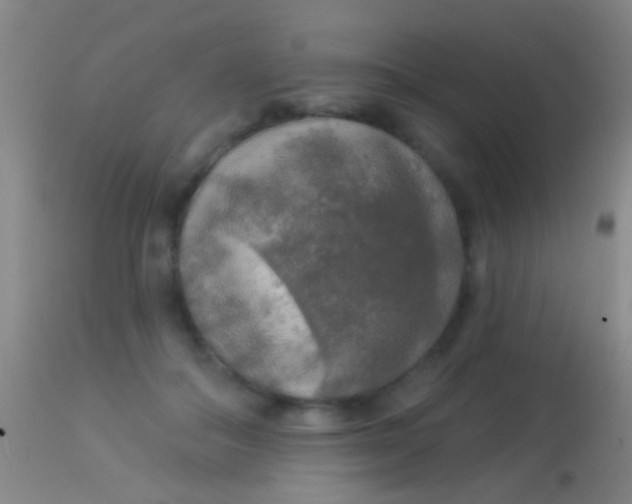 X0000113960506200910162007