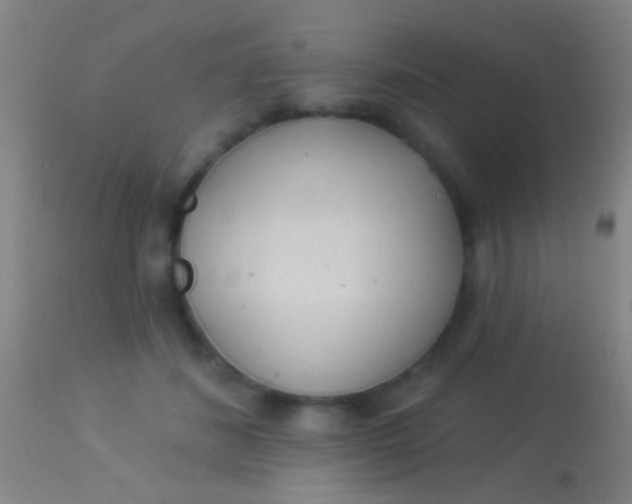 X0000113960508200910162007