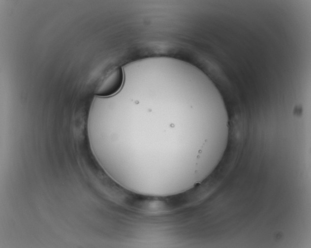 X0000113960509200910162007