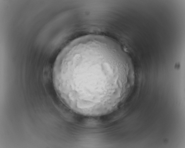 X0000113960511200910162007