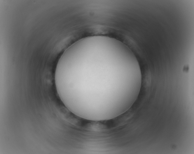 X0000113960512200910162007