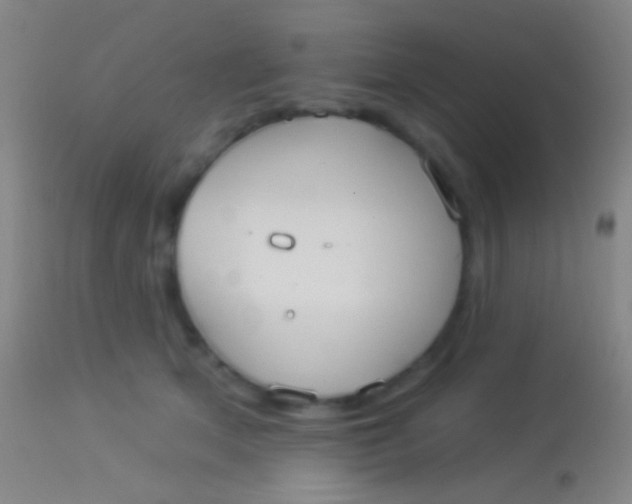 X0000113960513200910162007