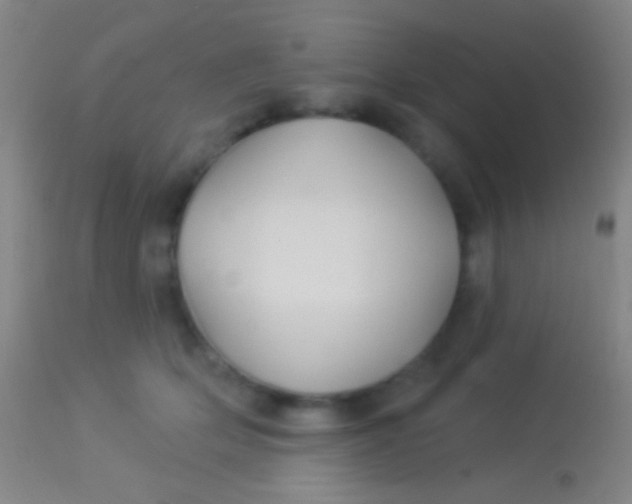 X0000113960514200910162007