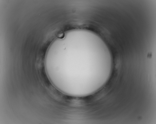 X0000113960515200910162007