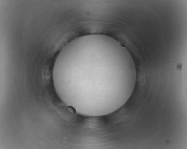 X0000113960516200910162006