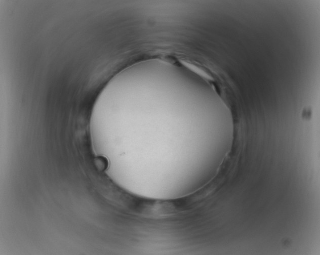 X0000113960517200910162006