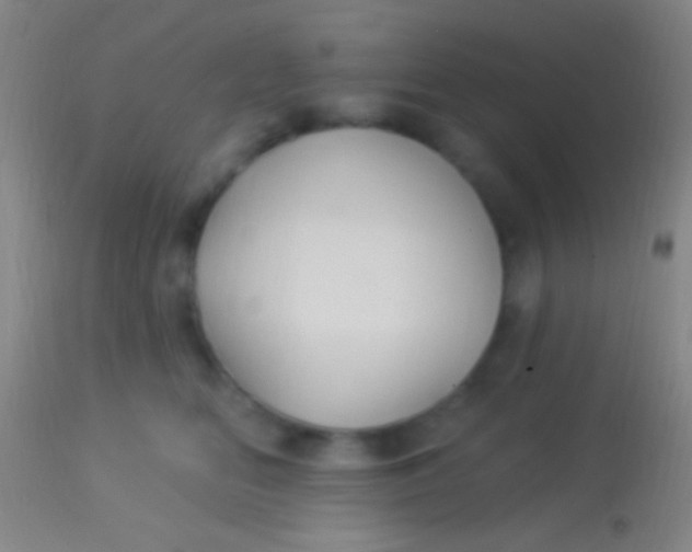 X0000113960518200910162006